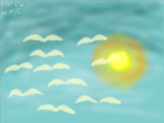 Birds