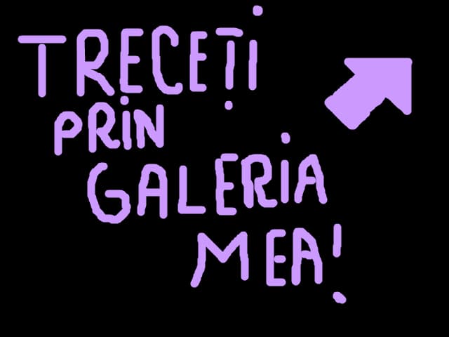 Treceti prin galeria mea