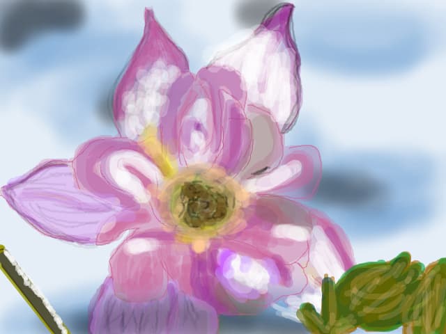 Floricica:X