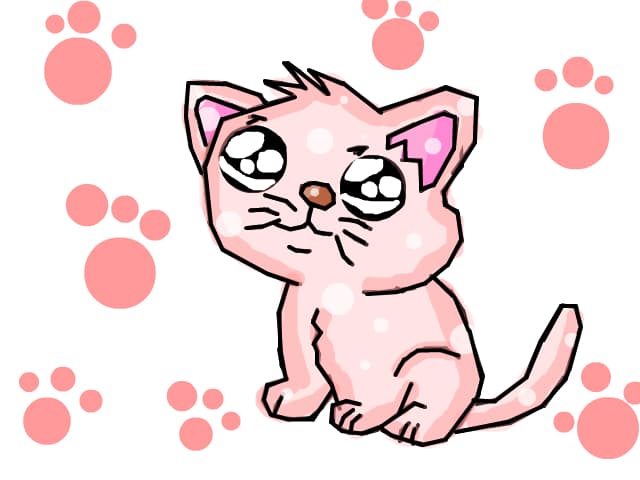 pink kitty