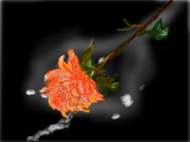 FOR YOU