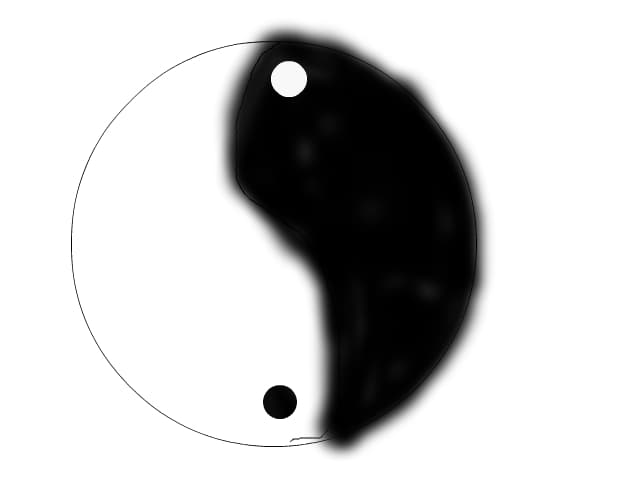 yin si yang