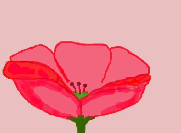 floare