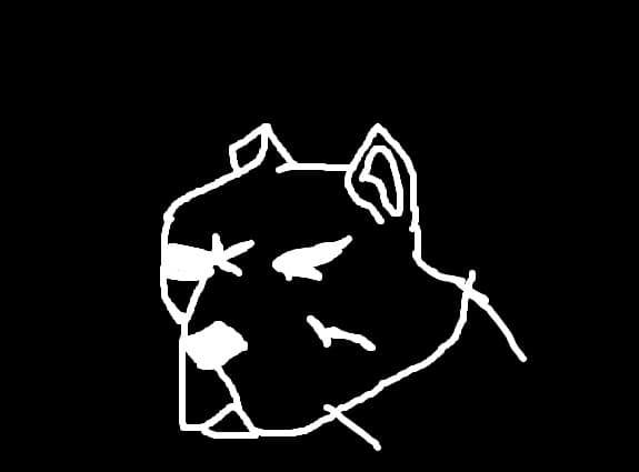 pitbull