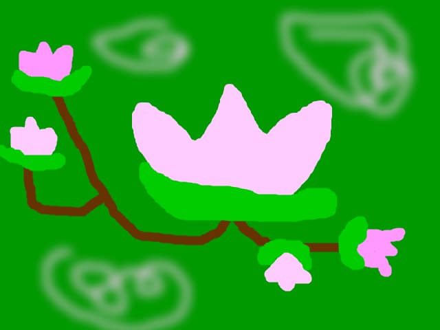 nuferi