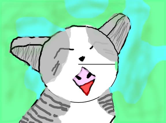 Miau Miau