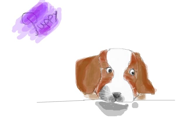puppy