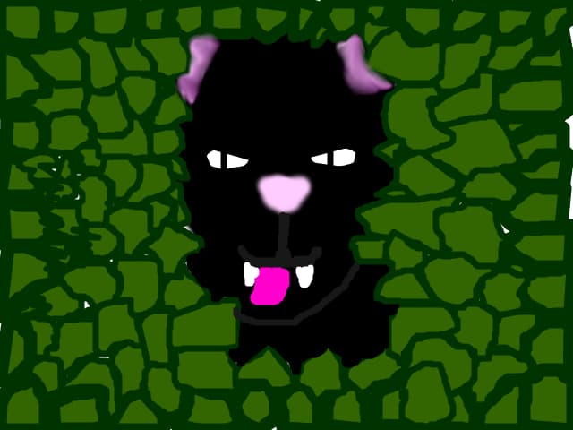 phanter