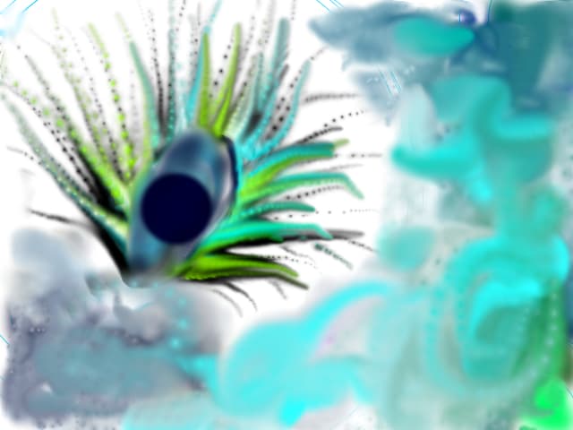 eye
