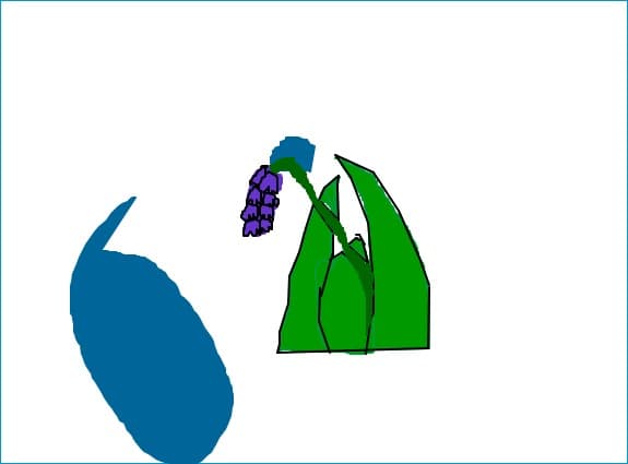 o floare