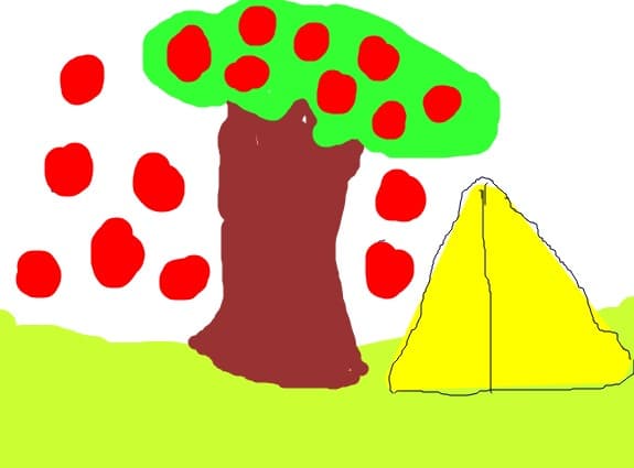 IN  NATURA