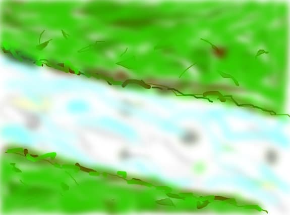 Rau