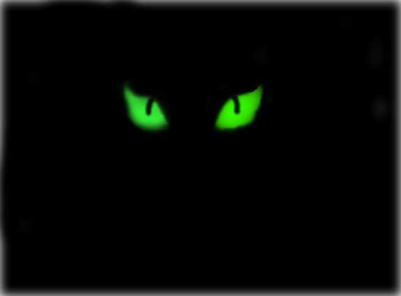 cat eyes