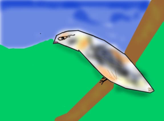randunica