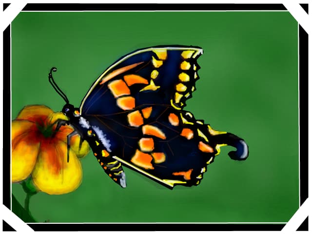 fluture...schimabat ...scy am facut mici modificari ....multumesc