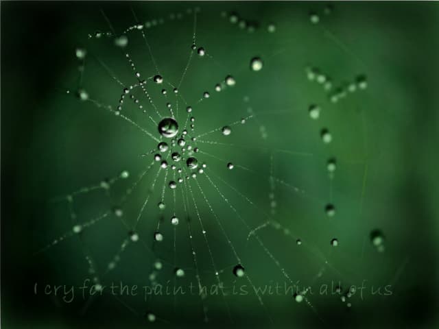 "Tears of nature " - pentru Eug13antares