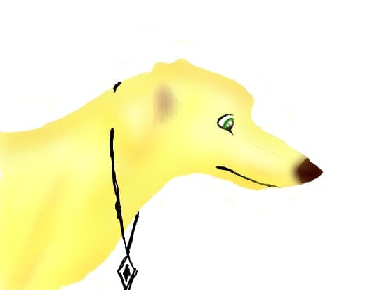 Labrador [terminat]