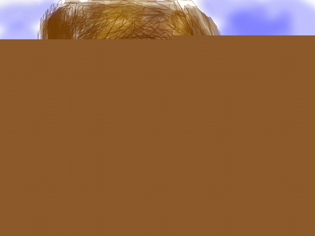 primul meu portret
