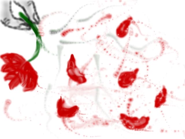 a rose