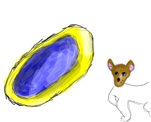 frisbee