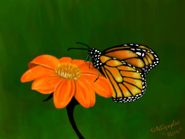 Sunshine Flower
