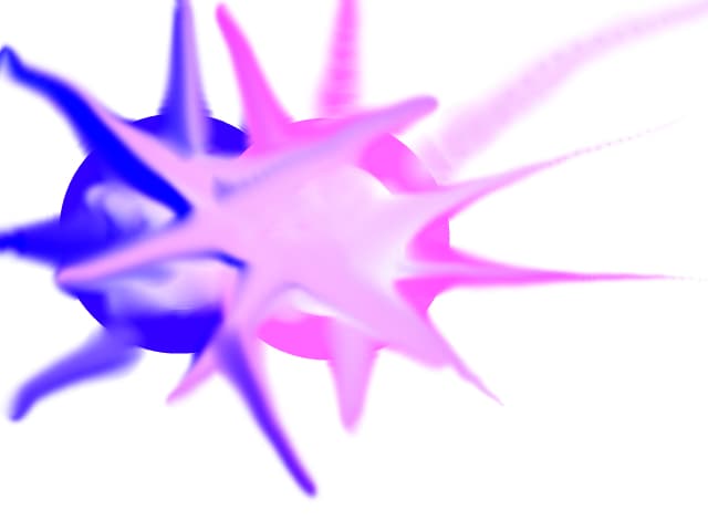 stars