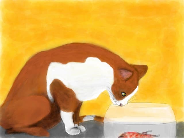 Kitty