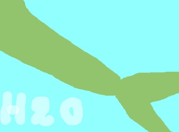 h2o