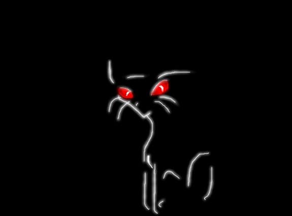 cat