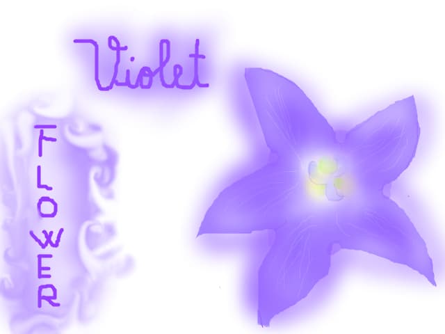 violet flower