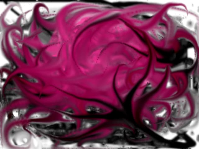 rose in the night