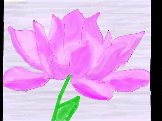 o floare