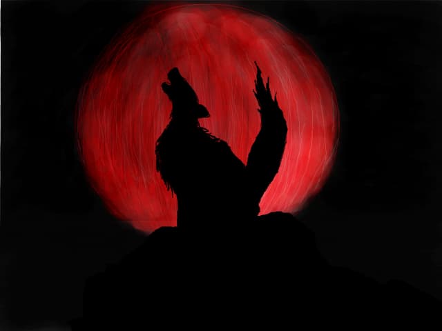 Wolf