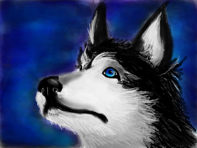 husky.la netrerminate de aprox. un an=))