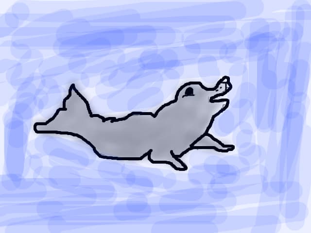pui de foca sper sa va placa