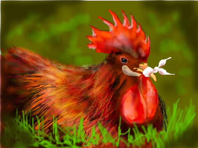 un cocos