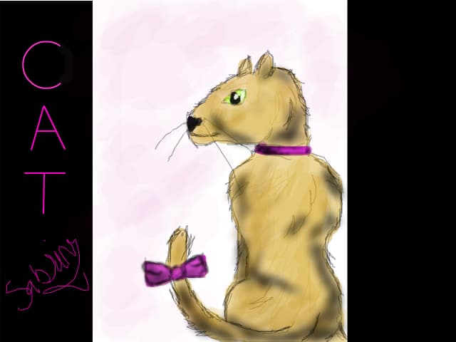 cat