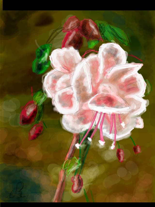 Pink Flower