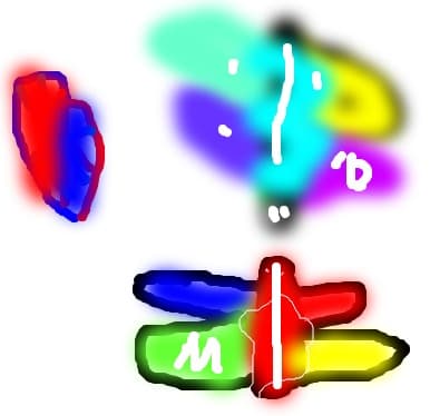 fluturasi
