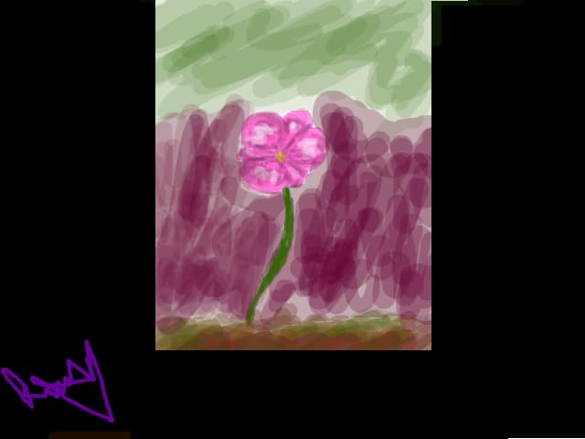 o floare