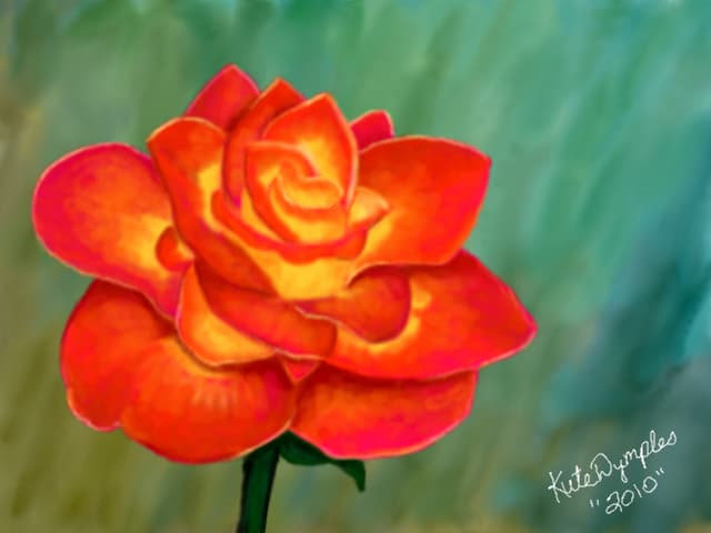 Bright Rose