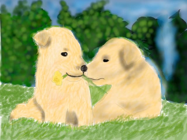 2 catelusi:X