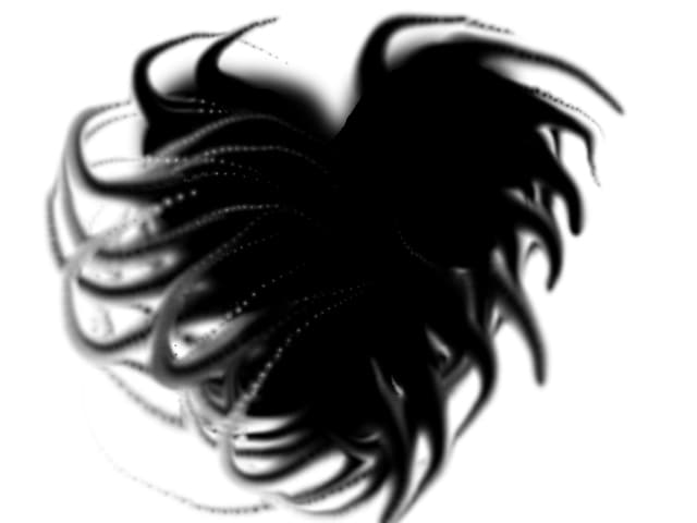 heart