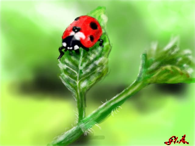 buburuza