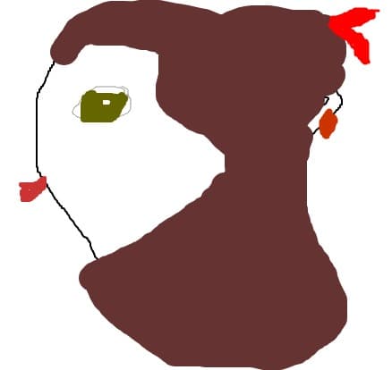 chinezoaica