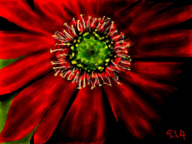 red flower