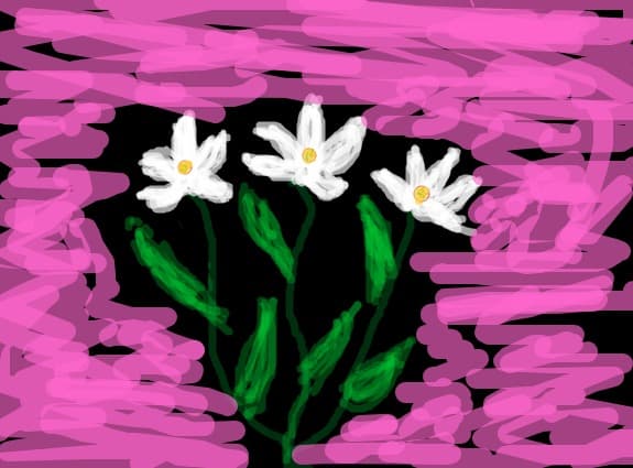 flori