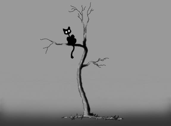 courious cat