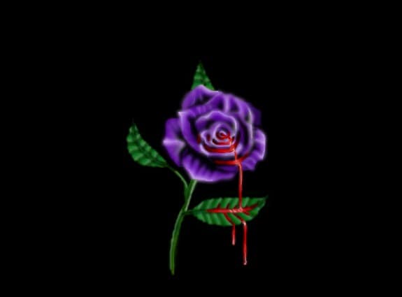 blood rose
