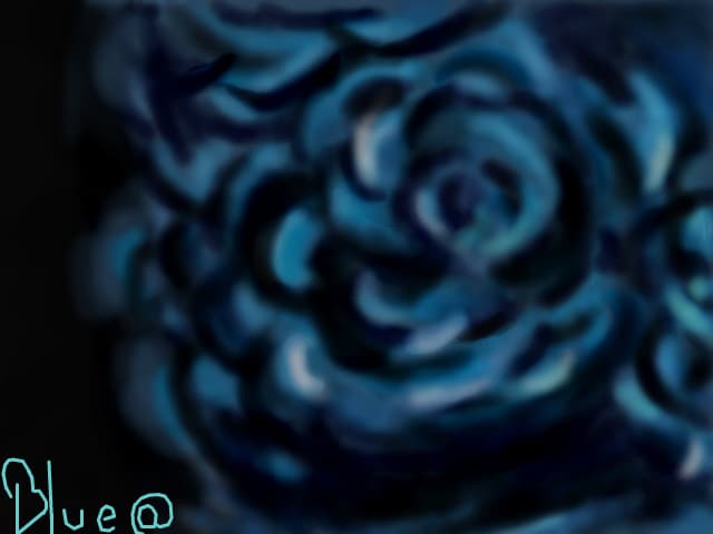 My First Rose